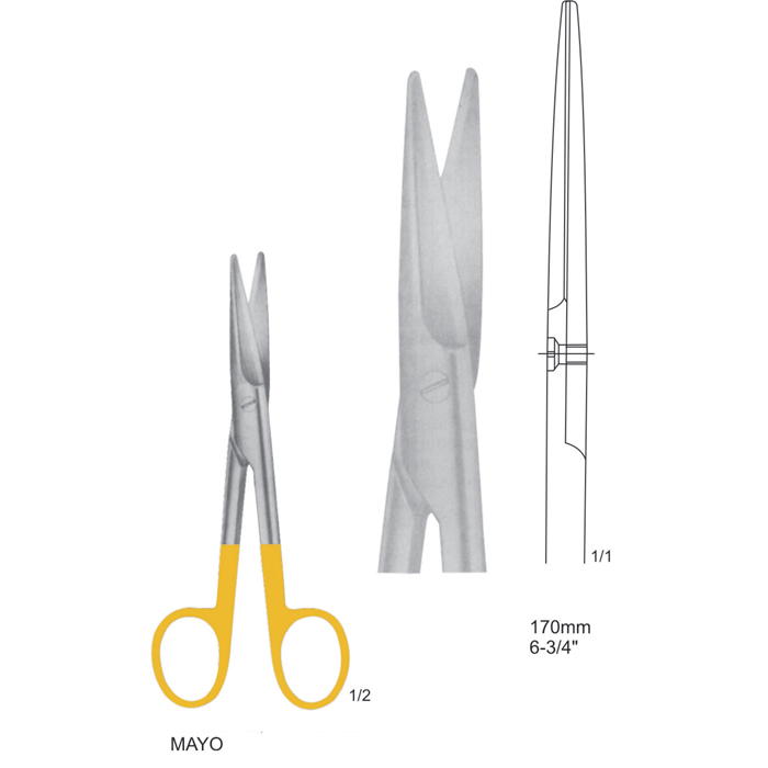 Dissecting Scissors