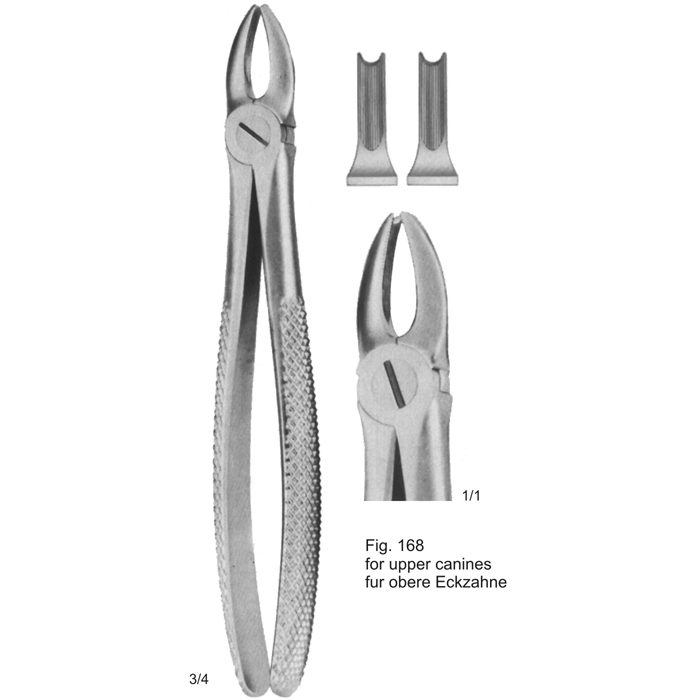 Tooth Extracting Forceps (Eng Pattern) 