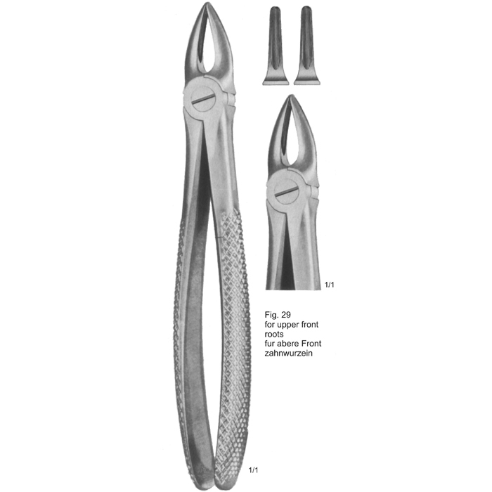 Tooth Extracting Forceps (Eng Pattern) 