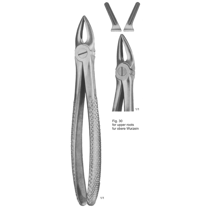 Tooth Extracting Forceps (Eng Pattern) 