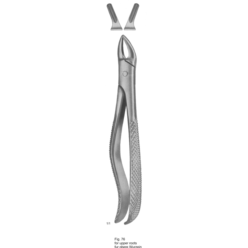 Tooth Extracting Forceps (Eng Pattern) 
