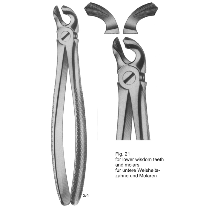 Tooth Extracting Forceps (Eng Pattern) 